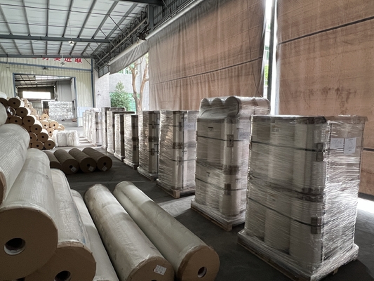Verbeter uw gedrukte materialen met Gloss BOPP Thermal Lamination Film In Thermal Version
